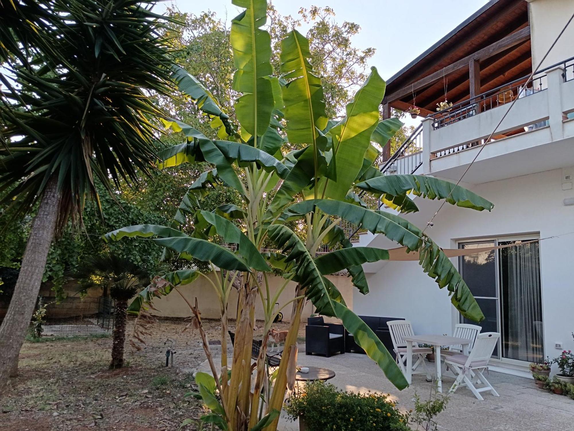 La Casa Del Noce Villa Руфано Екстериор снимка
