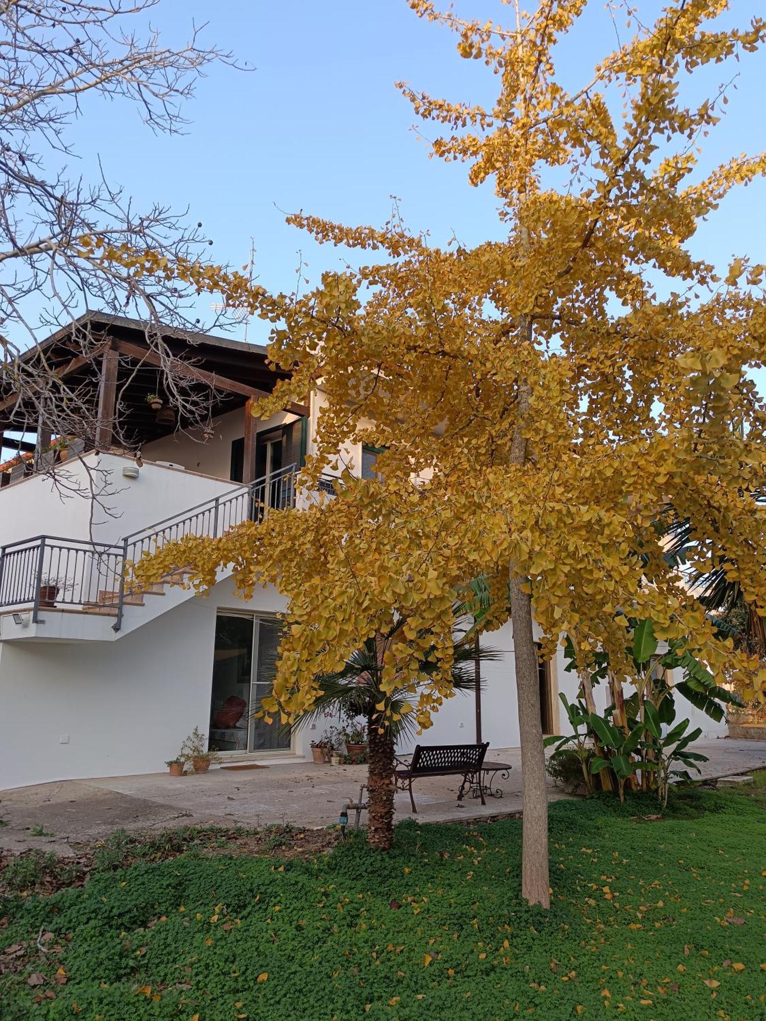 La Casa Del Noce Villa Руфано Екстериор снимка